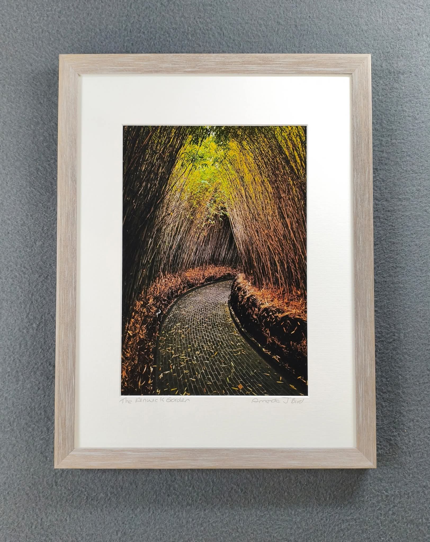 Gallery Photo 5